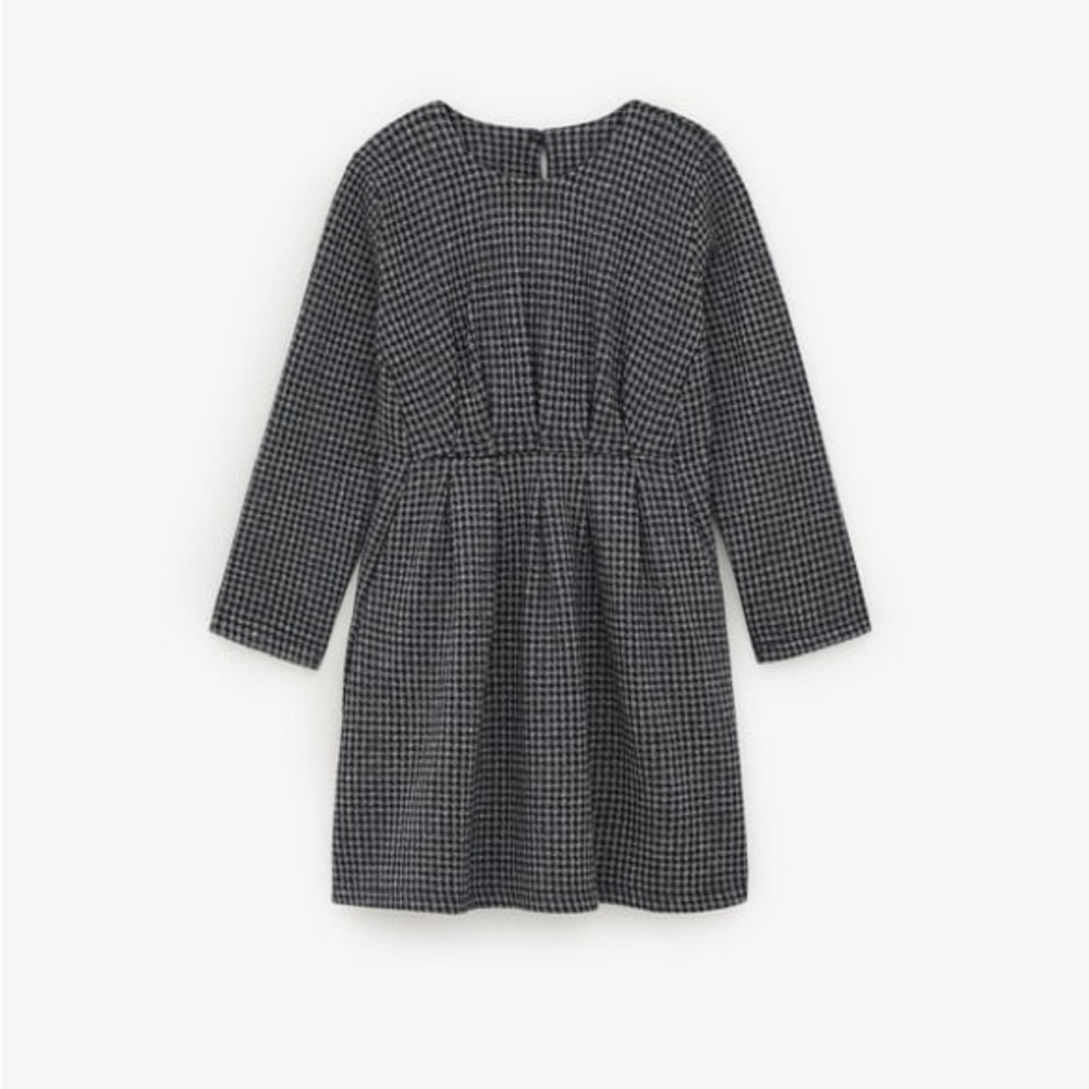 ZARA Plaid Cozy Dress